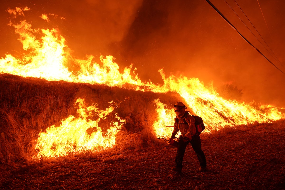 Trump plan to unify wildfire work targets inefficiencies but former officials warn of chaos