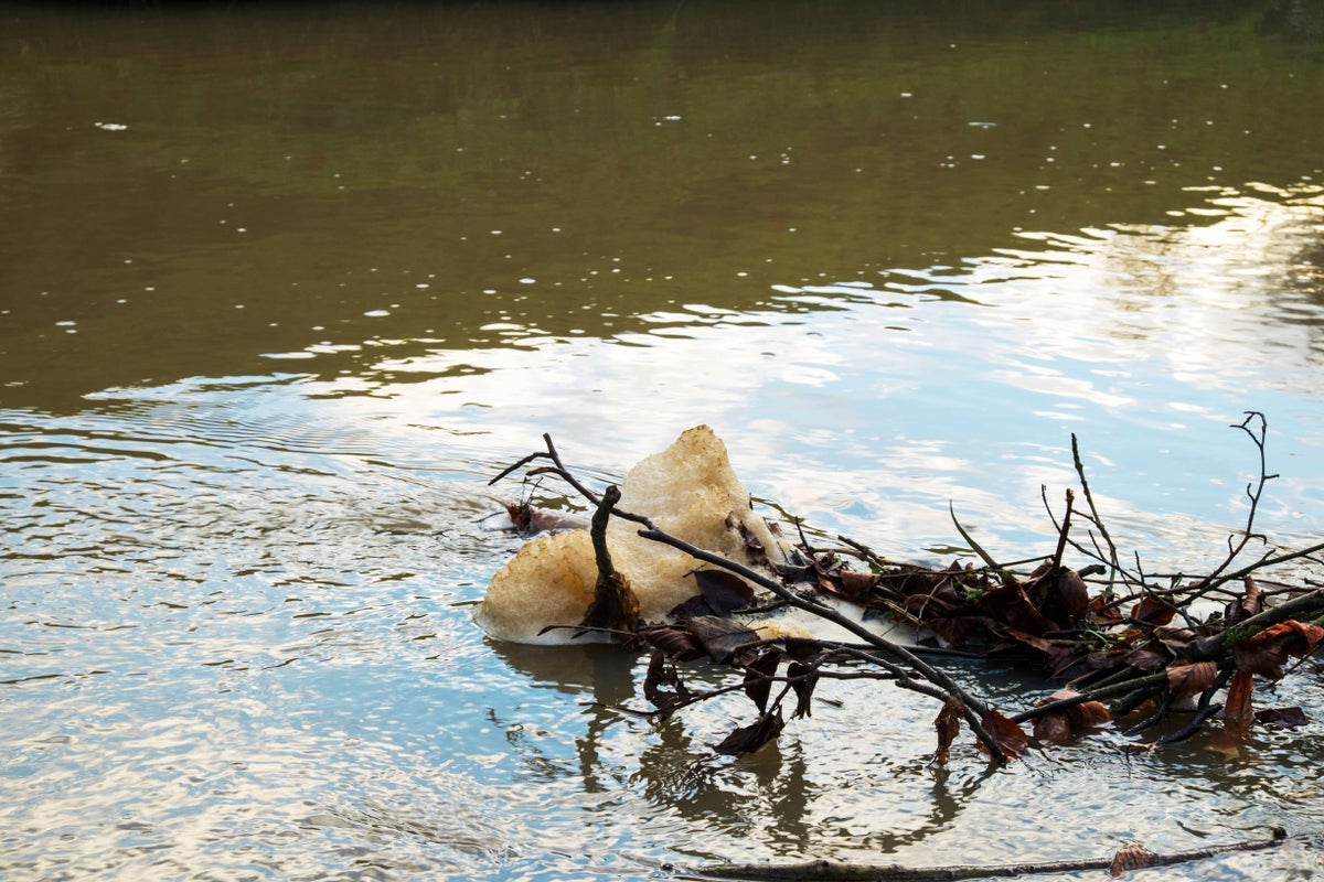 ‘Record’ 81 criminal investigations into water sector as sewage inspections soar