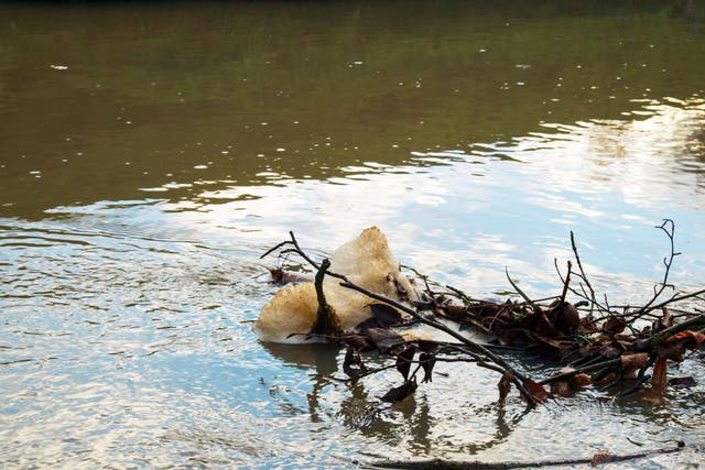 <p>The warm weather has caused an increase in pollution within the UK’s rivers (Alamy/PA)</p>