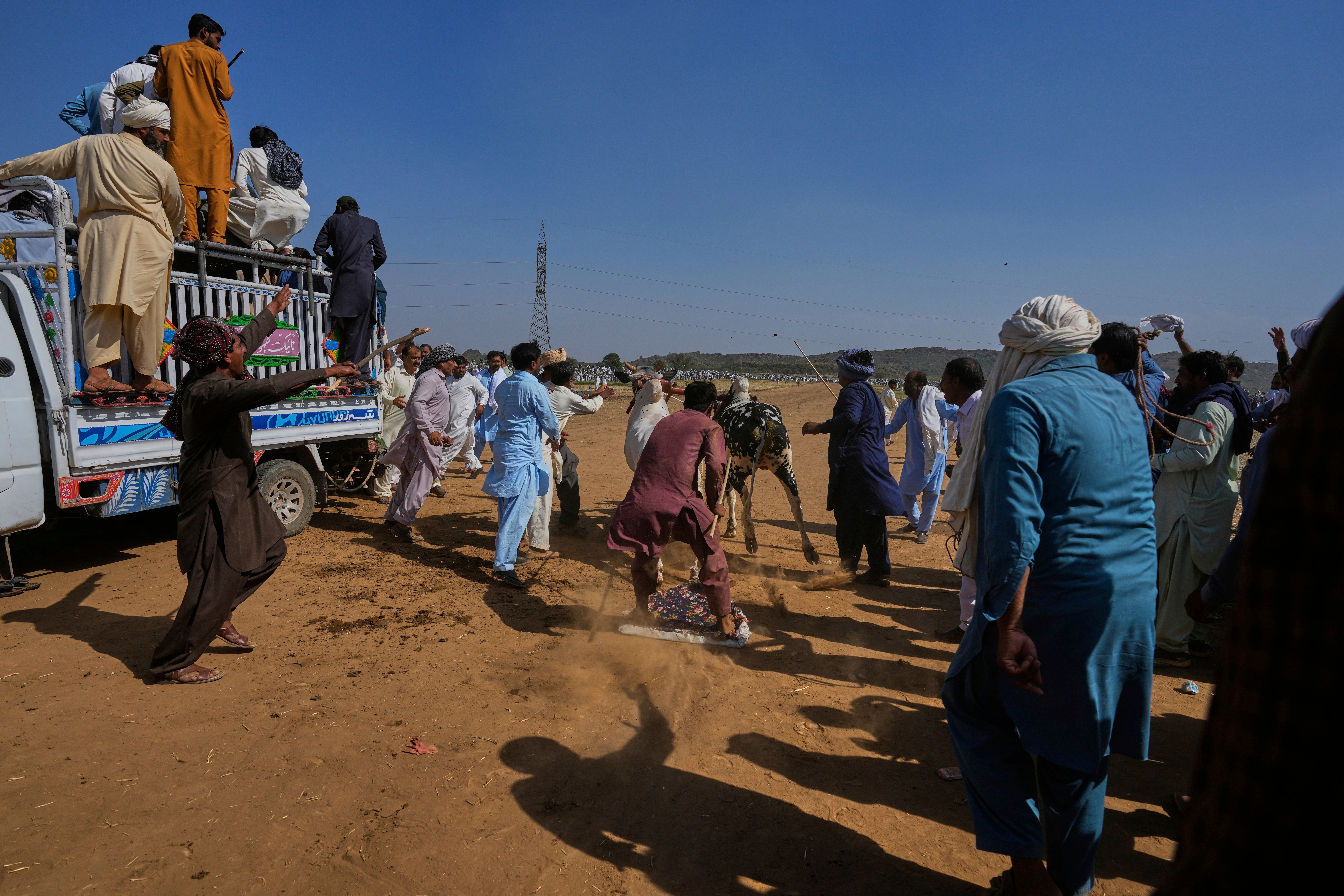 Pakistan Bull Racing Photo Gallery