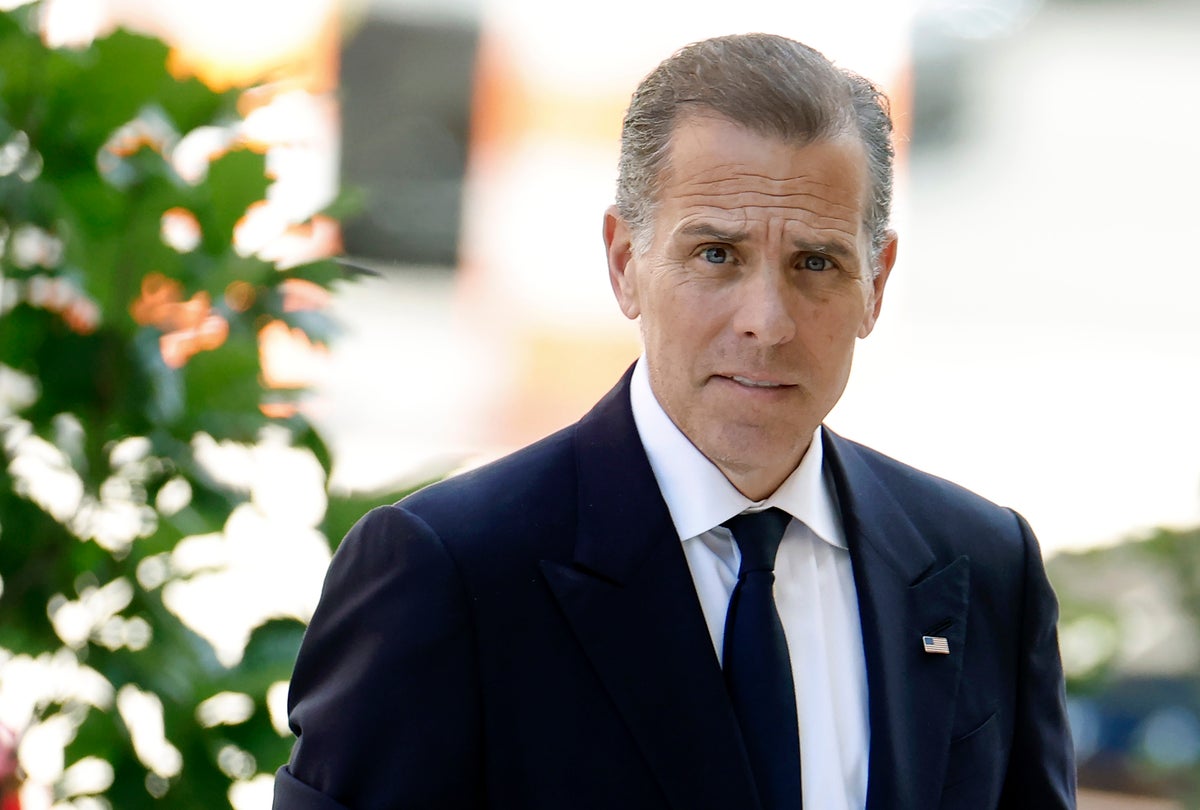 Why Hunter Biden thinks Democrats lost the 2024 election