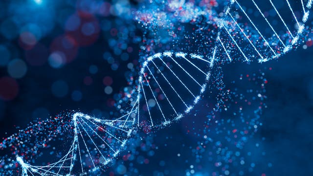 <p>A project has started to create human DNA from scratch</p>