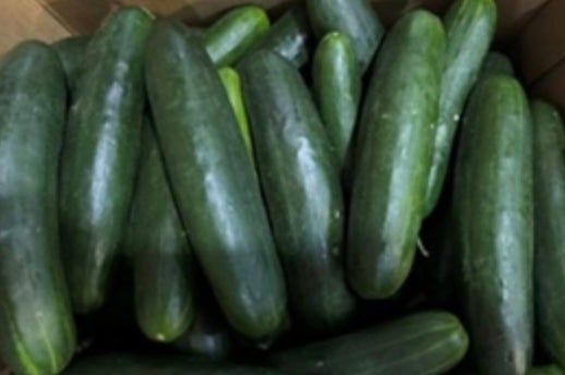 Cucumbers sold across the country have been recalled after people in 15 states reported getting ill from salmonella
