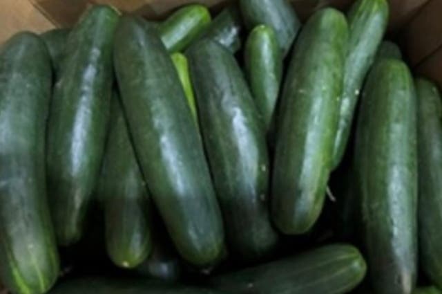 <p>Cucumbers sold across the country have been recalled after people in 15 states reported getting ill from salmonella.</p>