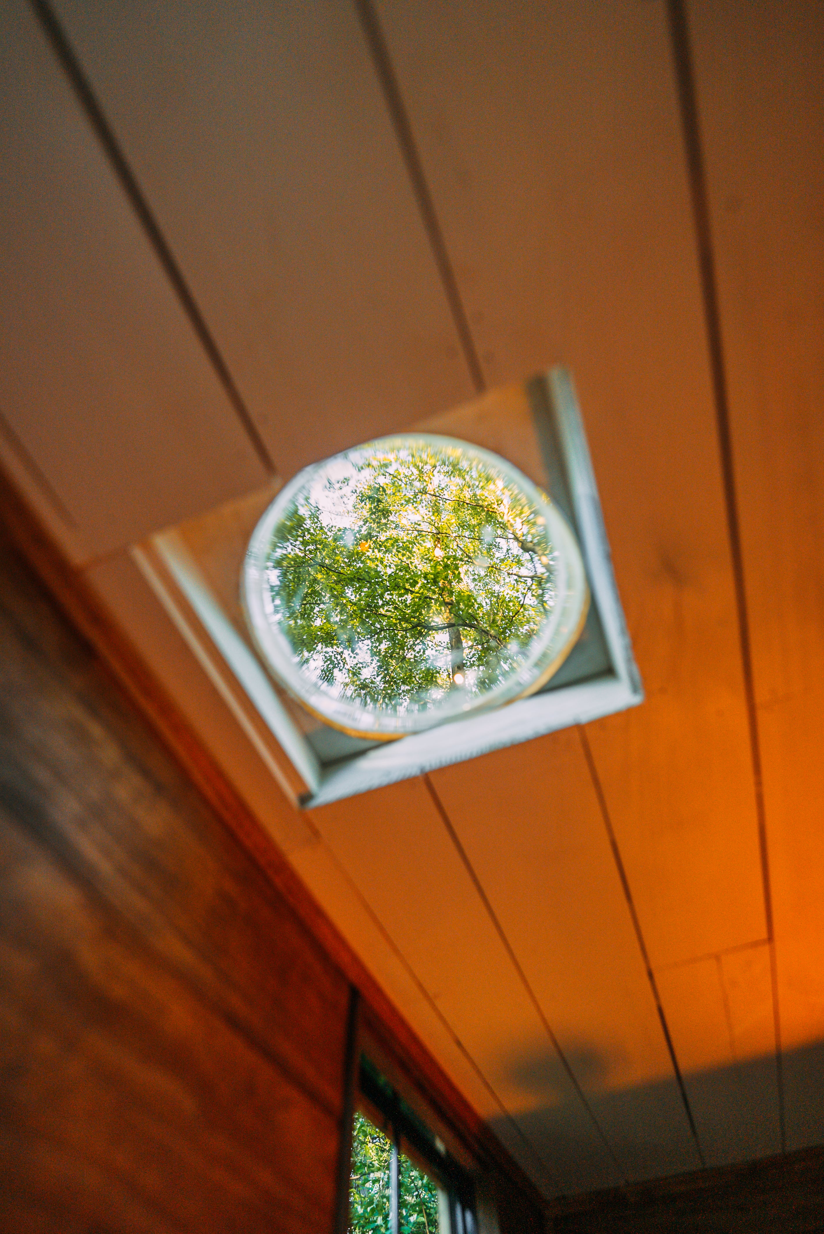 When seated on the portable toilet, taller users can poke their head into a bubble window