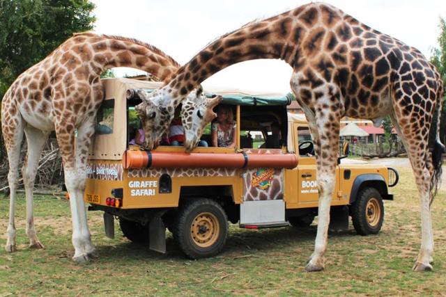 Chessington World of Adventures discount codes for April 2026