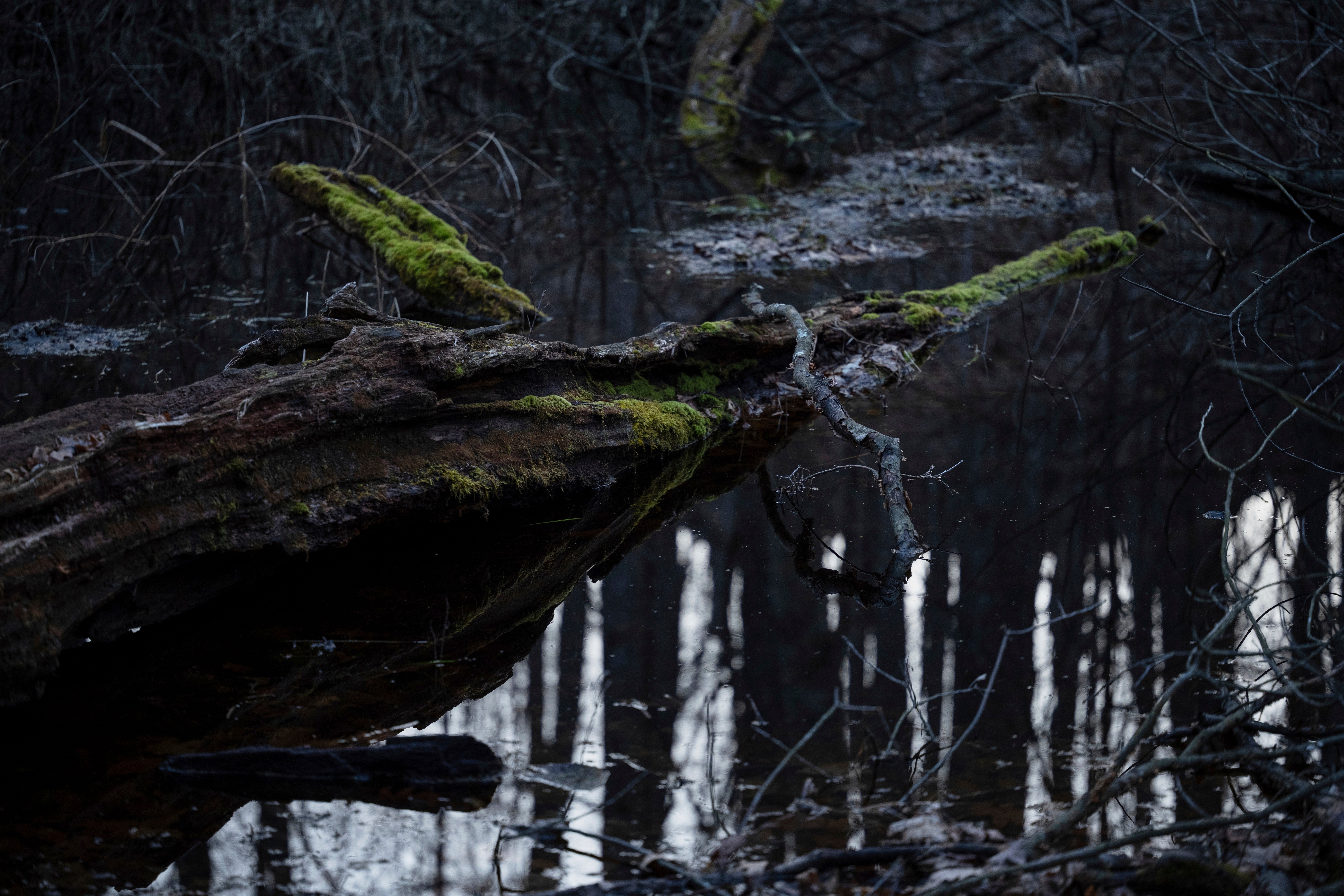 Climate Amphibians Population