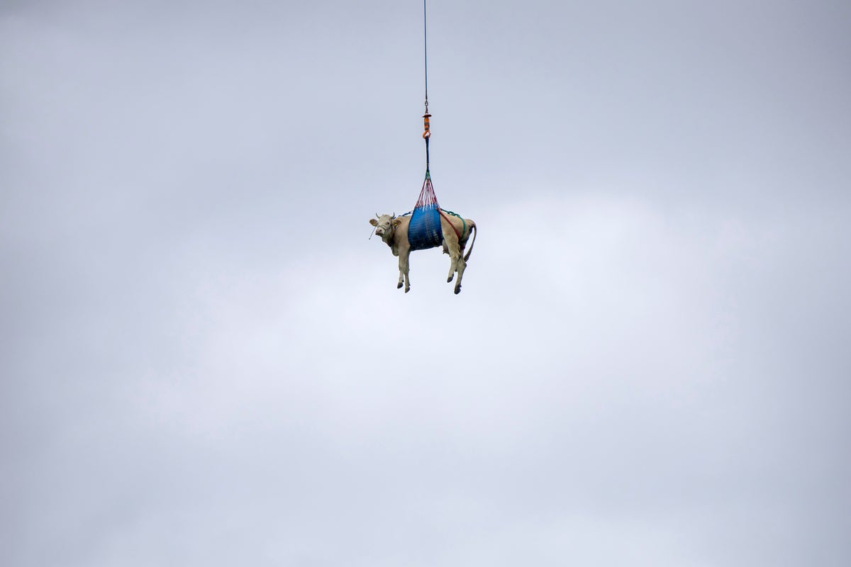 Swiss evacuate livestock by hoof and helicopter because of landslide risk over Alpine village
