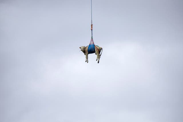 Switzerland-Alpine-Evacuation