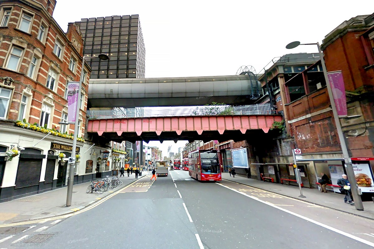 Southeastern apologies for daylight-blocking coverings on train station bridge