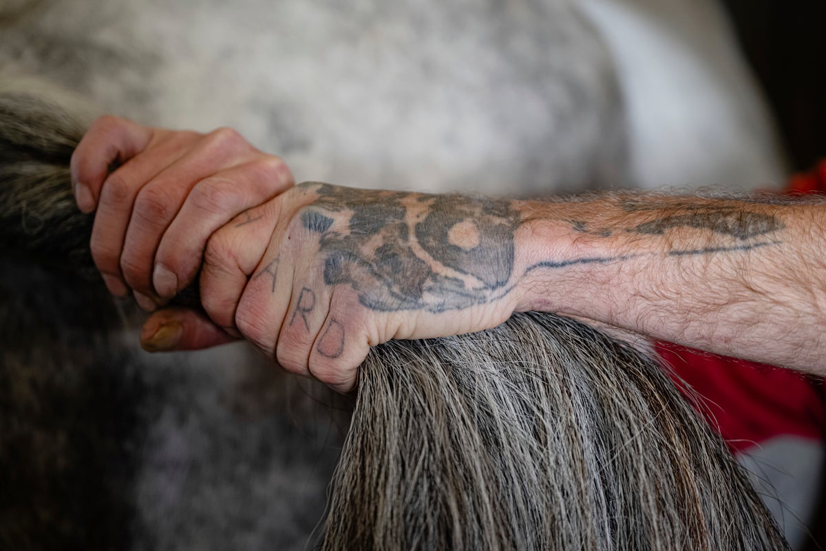 Horses on a Kentucky farm are helping men build sober lives, gain work and reunite families
