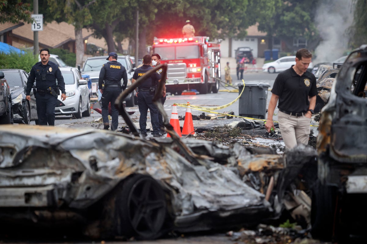 Music Agent Dave Shapiro, Two Killed in San Diego Plane Crash