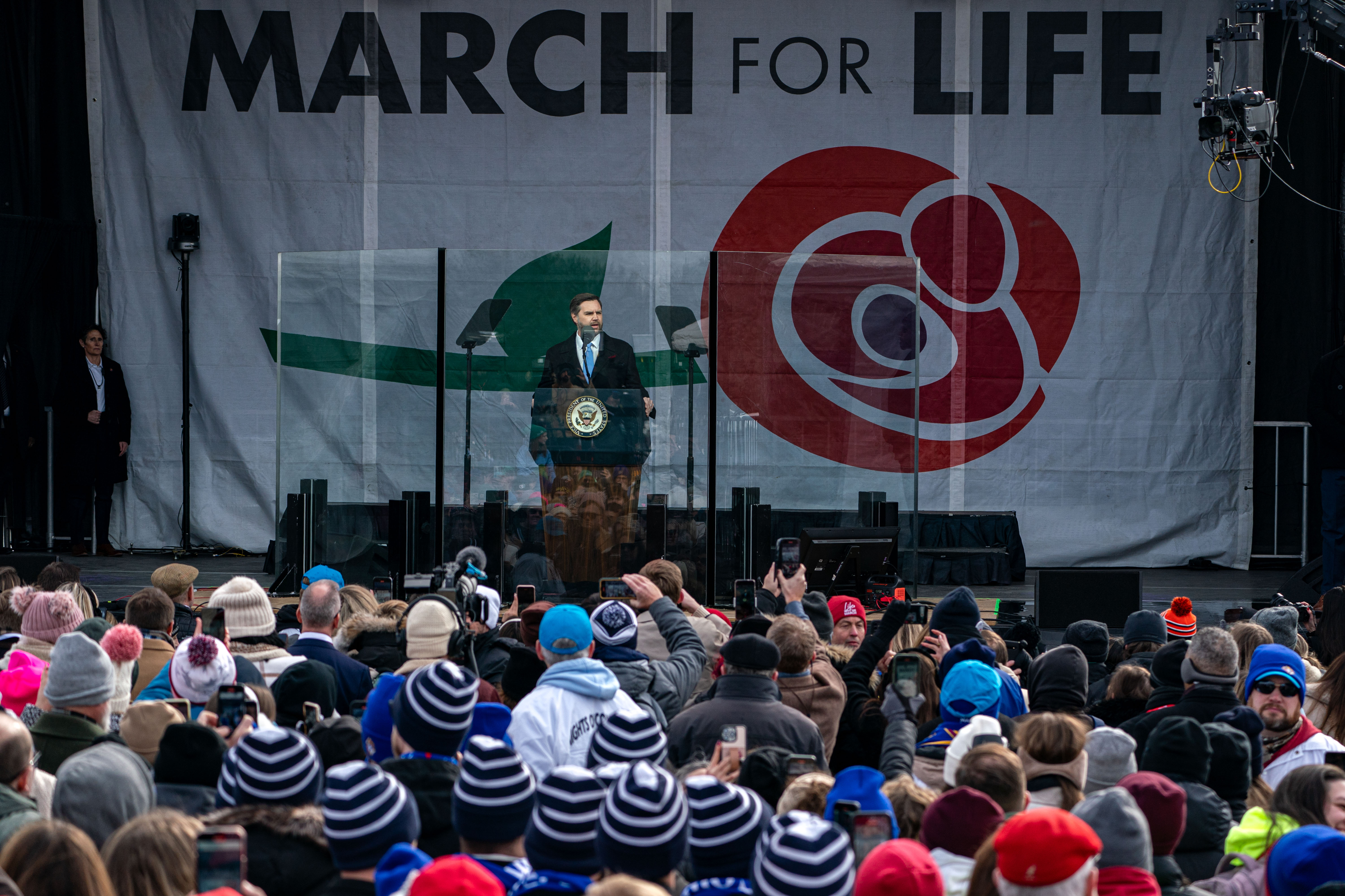 Vice President JD Vance speaks at a March for Life rally in Washington DC earlier this year