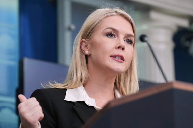 <p>Press Secretary Karoline Leavitt clashed with Yamiche Alcindor of NBC News during her daily briefing</p>