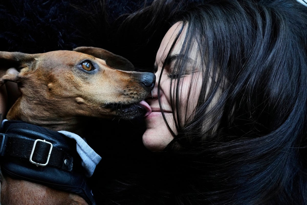 AP PHOTOS: As more Argentines go childless, pampered dogs become part of the family