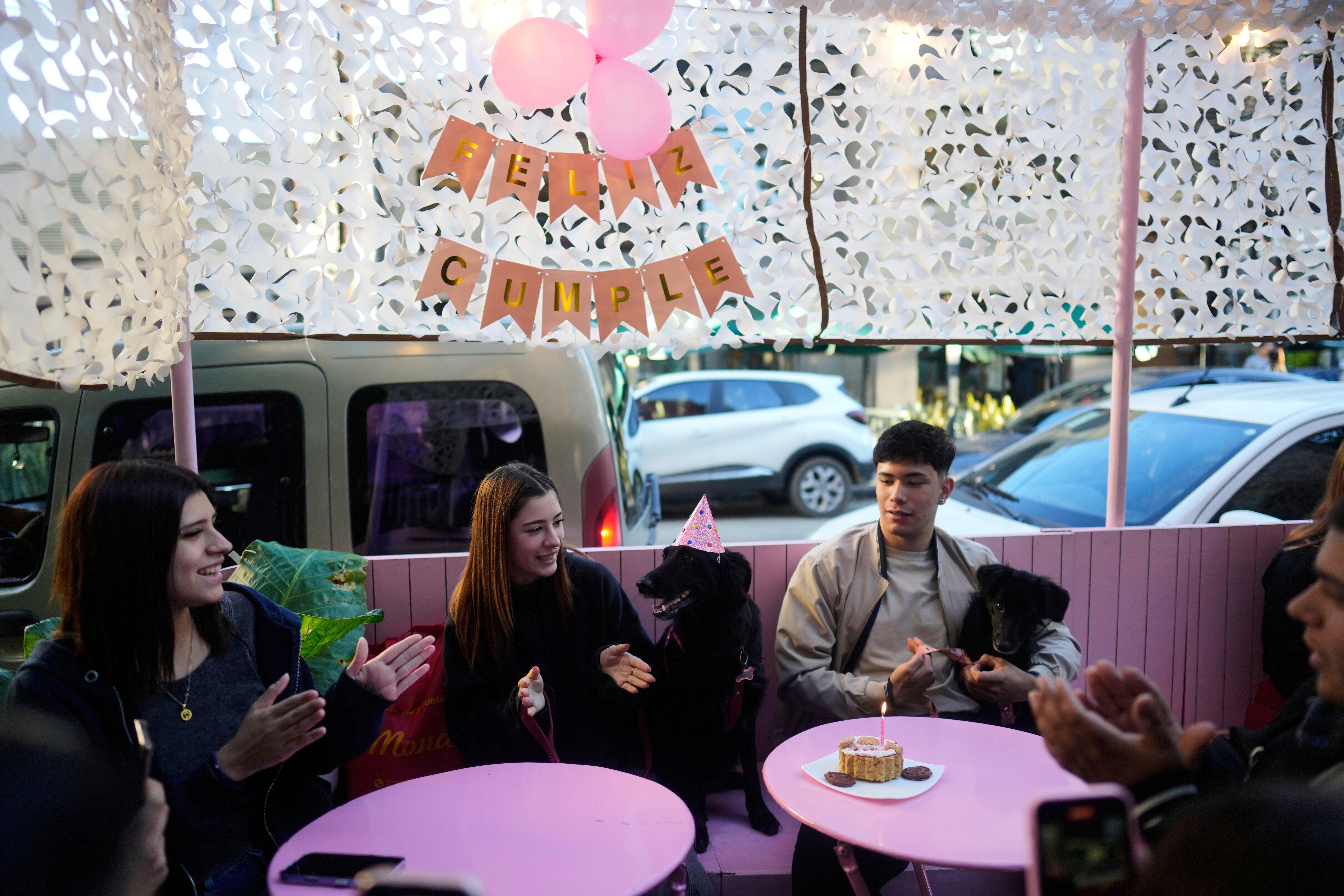 ARGENTINA-NIÑOS VS. PERROS