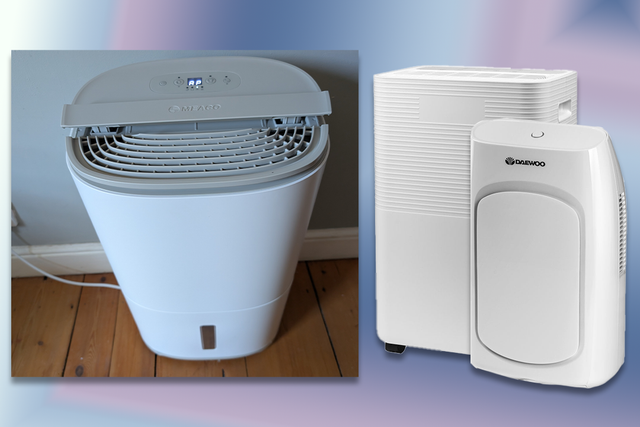 <p>From small and quiet to big and mighty, we put these damp-busters to the test</p>