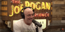 Joe Rogan reveals the worst guest he’s ever had in 16 years