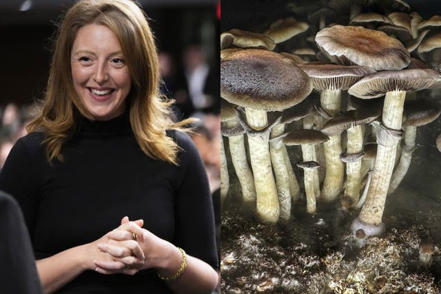 <p>Dr Casey Means, pictured left, has spoken out about her appreciation of psychedelic mushrooms</p>