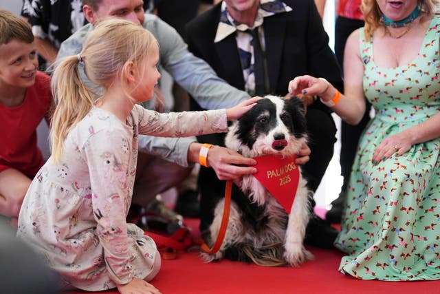 France Cannes 2025 Palm Dog