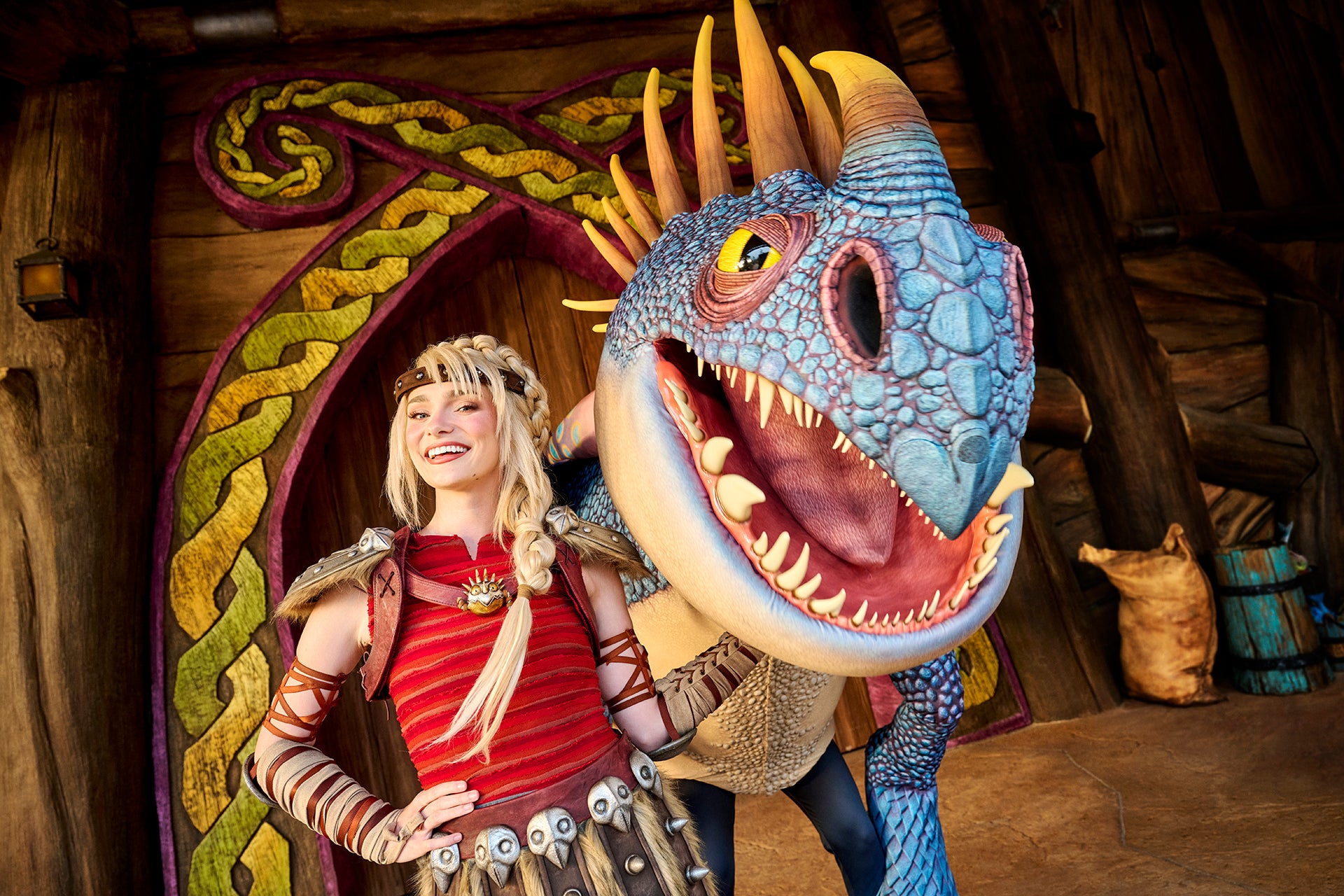 One of the dragons on the Isle of Berk