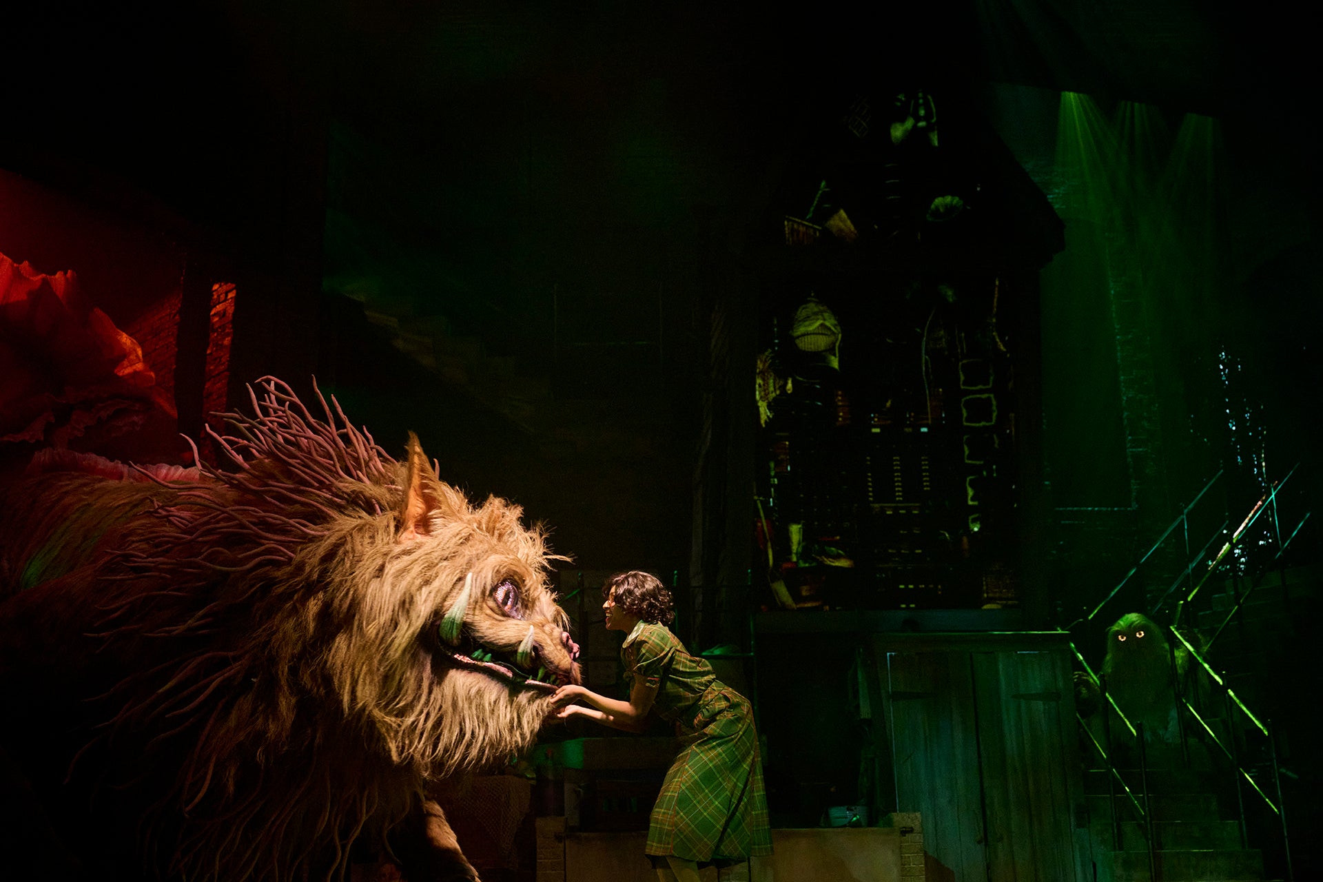 In the Harry Potter land, guests can encounter fantastic beasts at a traveling circus