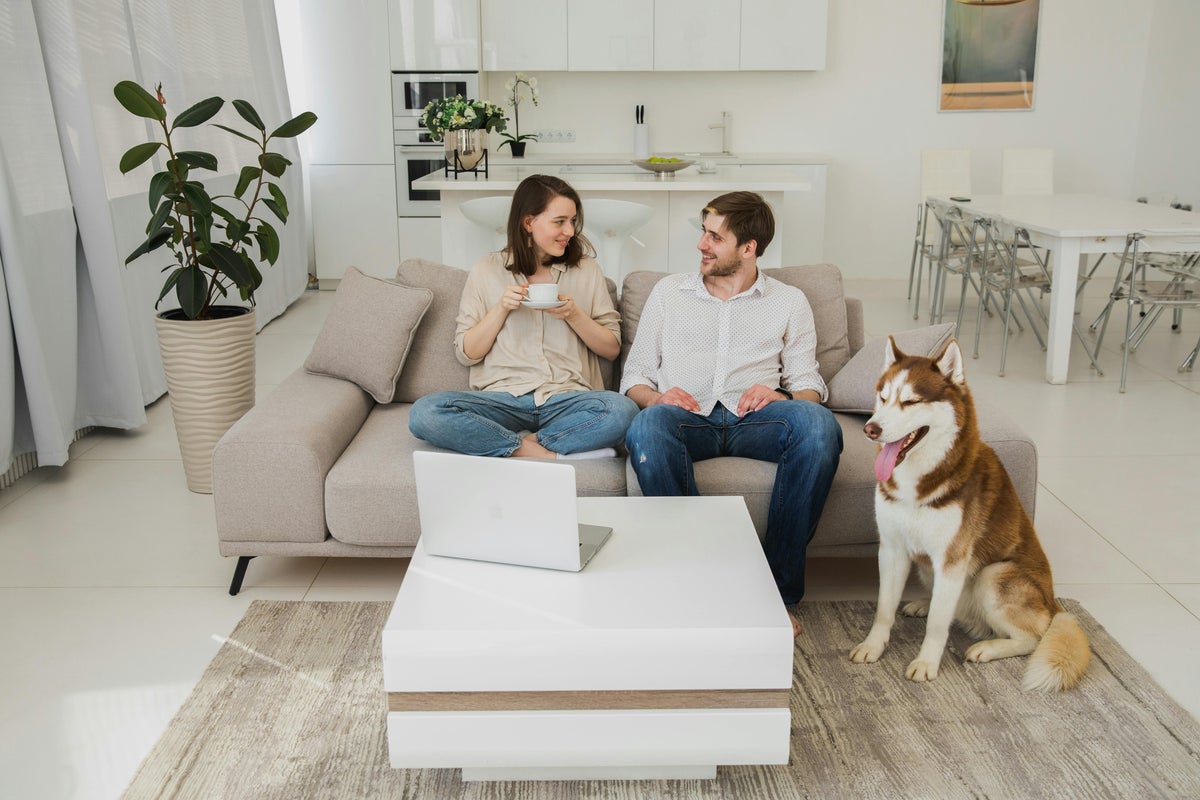 Dogs are treated like ‘child surrogates’ by their owners, new study finds