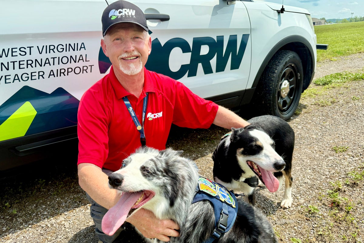 Pup patrol: The border collies preventing bird strikes at a busy airport