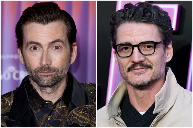 <p>David Tennant said he coveted a role that went to Pedro Pascal</p>