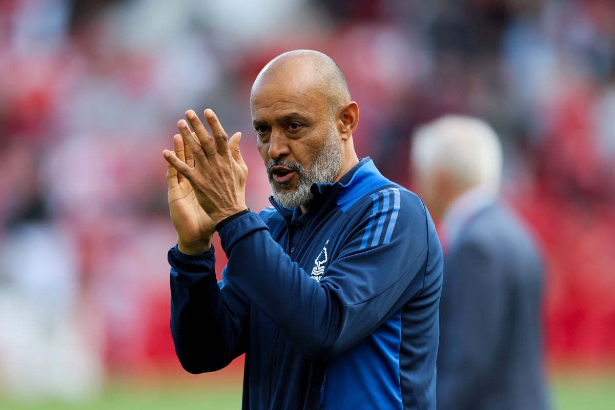 The awkward logic behind Nottingham Forest’s next major decision The awkward logic behind Nottingham Forest’s next major decision