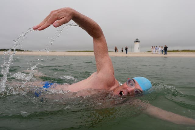 APTOPIX Jaws Anniversary Shark Swim