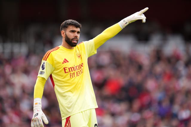Arsenal goalkeeper David Raya is targeting another Golden Glove (Adam Davy/PA)
