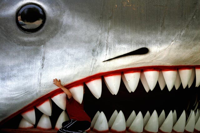<p>A boy looks inside the jaws of a giant Great White Shark replica at Ankara's zoo in August 2005.</p>