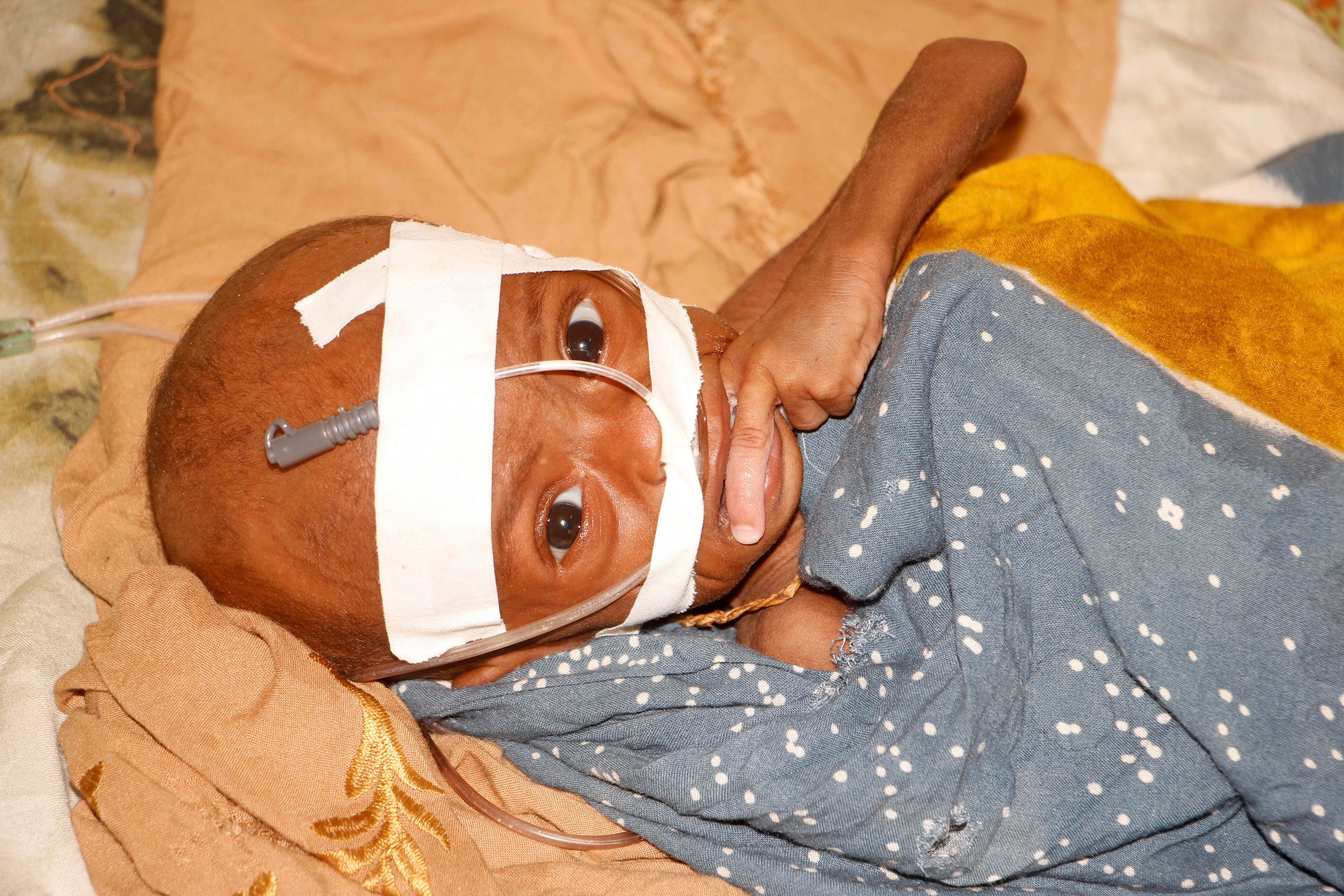 Somalia Hunger USAID