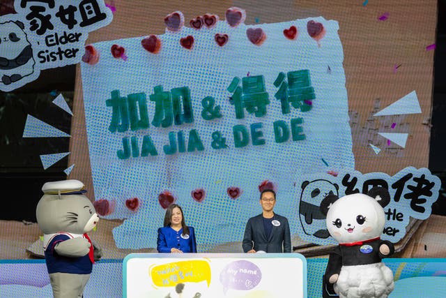 Hong Kong Pandas