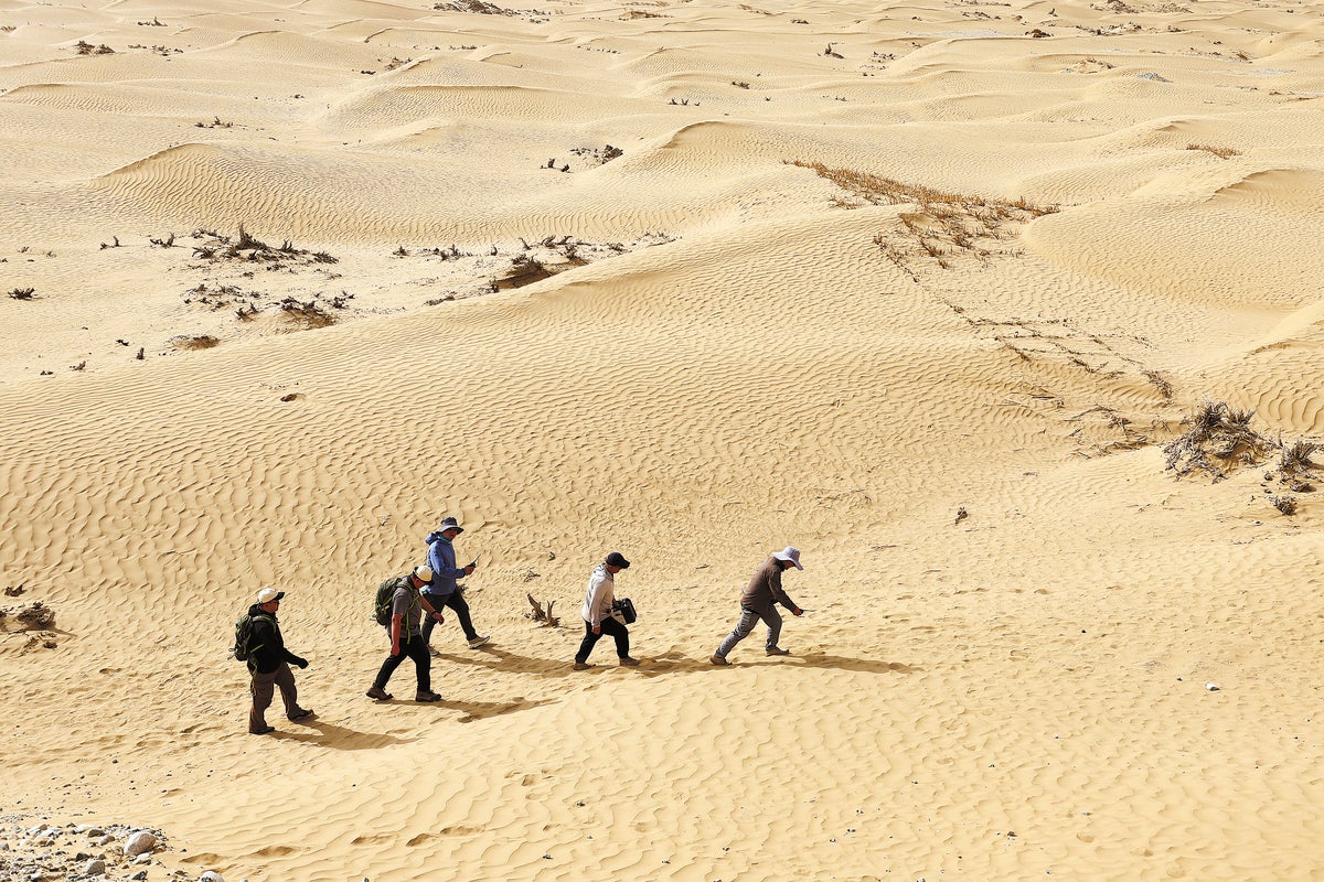 Decoding the sands of time