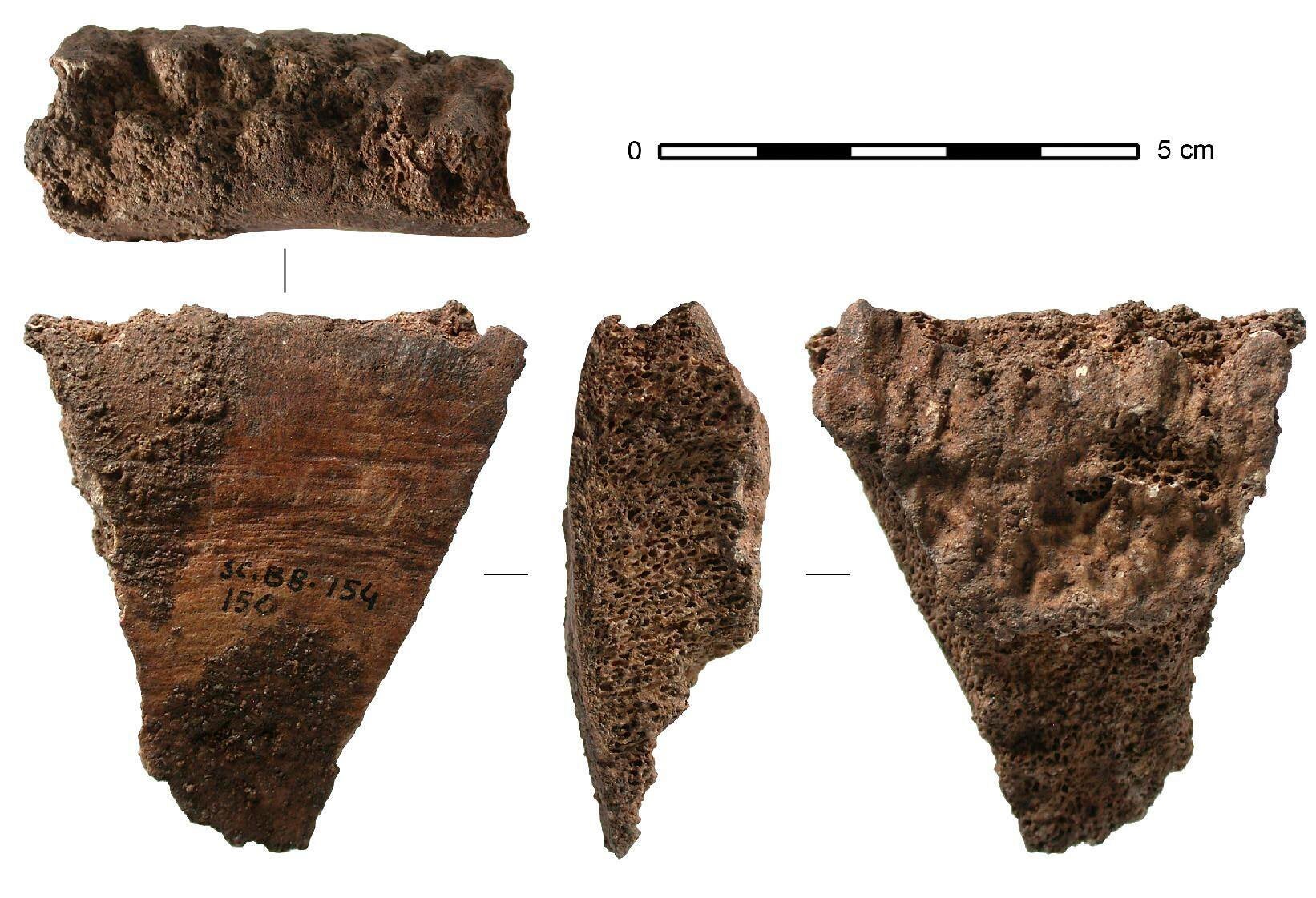 Dieses von Jean-Marc Pétillon bereitgestellte Bild zeigt Fotos eines Wal-Rückgrat-Fragments, das 1995 von Eduadro Berganza aus einer Höhle in Santa Catalina, Spanien, aus ausgegraben wurde. Die Fotos wurden im Oktober 2019 im Traces Laboratory in Toulouse, Frankreich, aufgenommen. (Jean-Marc Pétillon über AP)