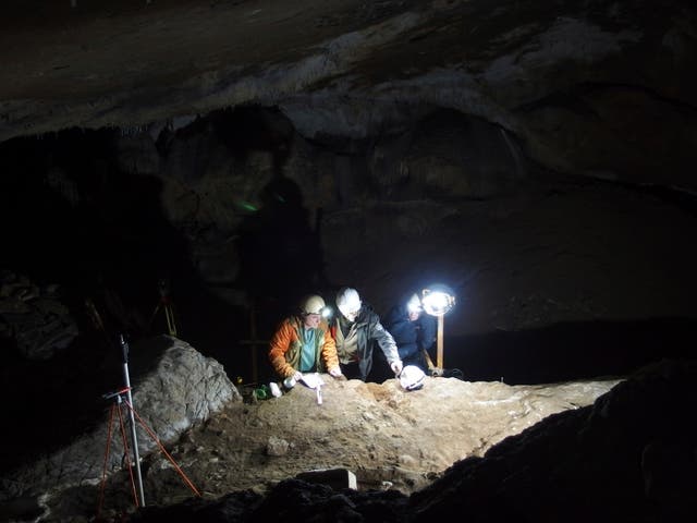 <p>An excavation, in which several dozen whale bone objects were discovered</p>
