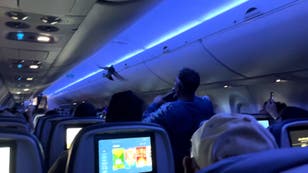 Watch: Bizarre moment two pigeons spark chaos on Delta flight
