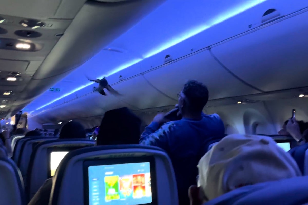 Pigeon pair causes chaos on board Delta flight