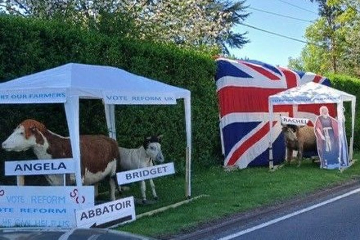 ‘Misogynistic’ Reform activists depict female cabinet ministers as cows in abattoir