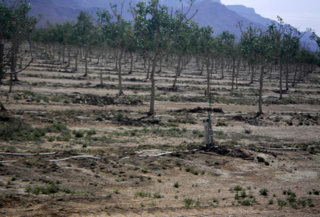 Arizona Rural Groundwater