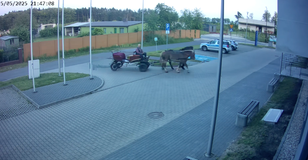 Drunk driver turns up to police station in horse and cart