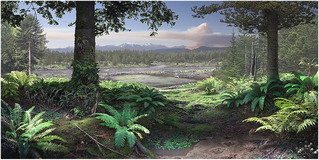 <p>A reconstruction of cool-temperate rainforest and fluvial environments in southeast Australian during the late Albian</p>