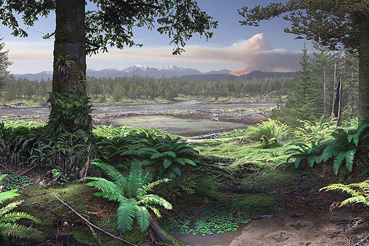Secrets of ‘polar dinosaur’ forest home revealed for first time in 120 million years