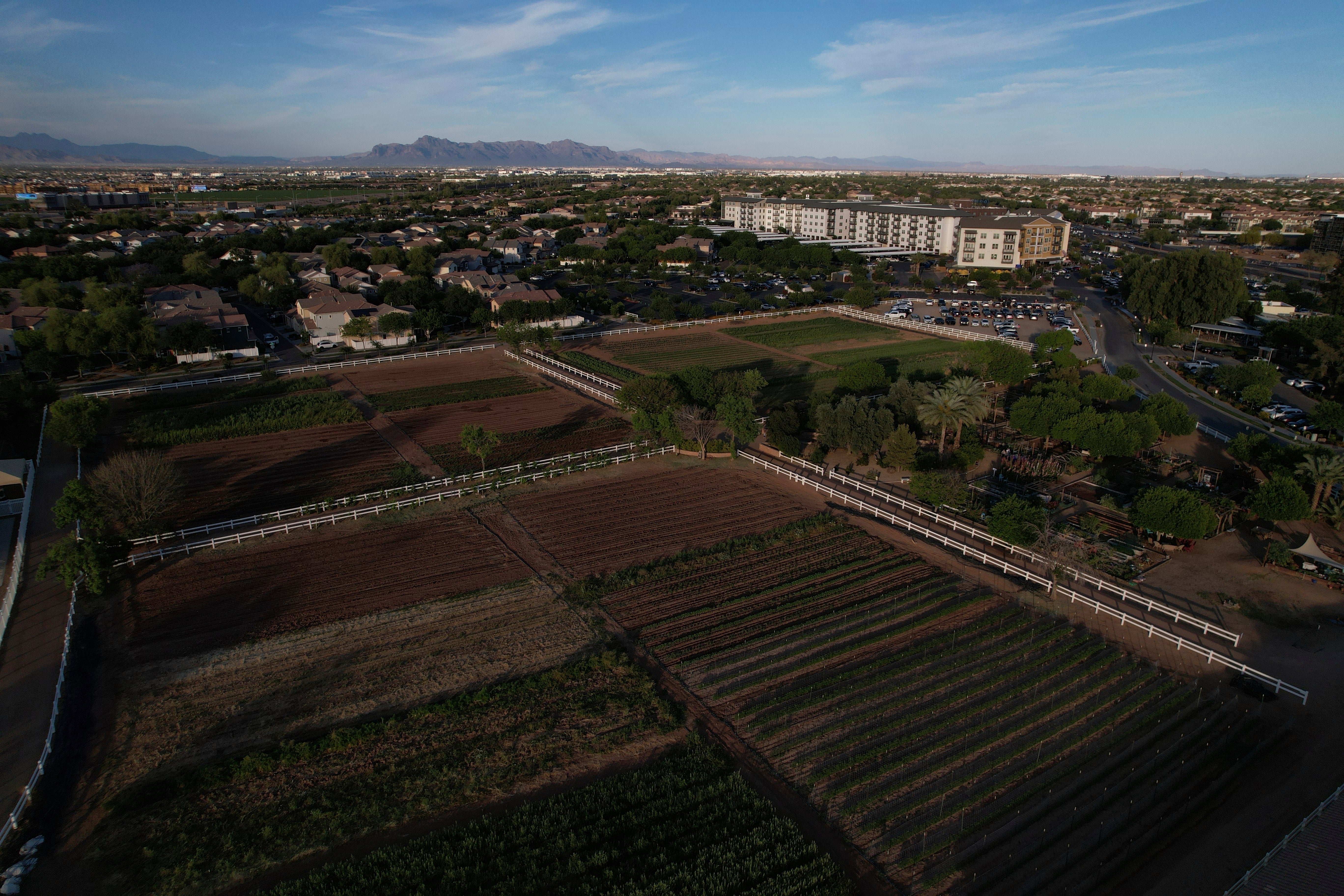 Climate Agritopia Agricultural Community