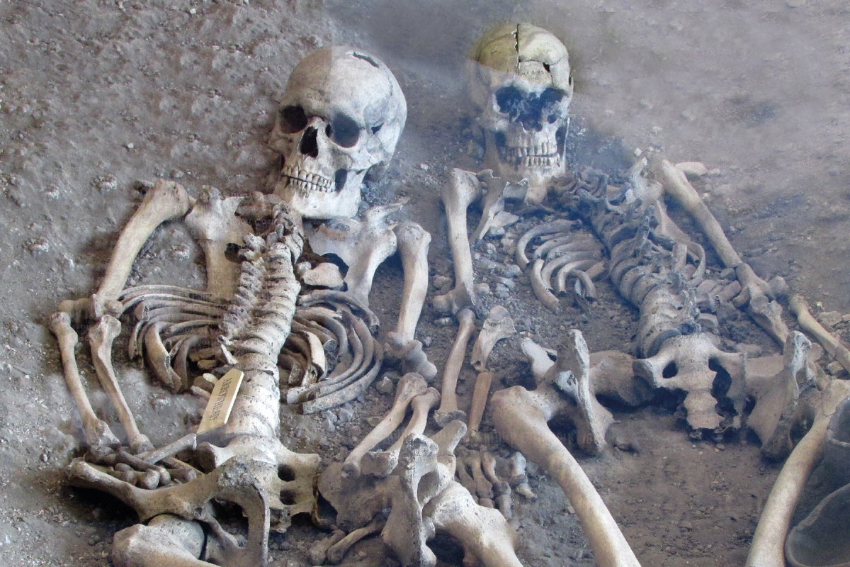 Game of Thrones-style families' behind 2,000-year-old Dorset massacre