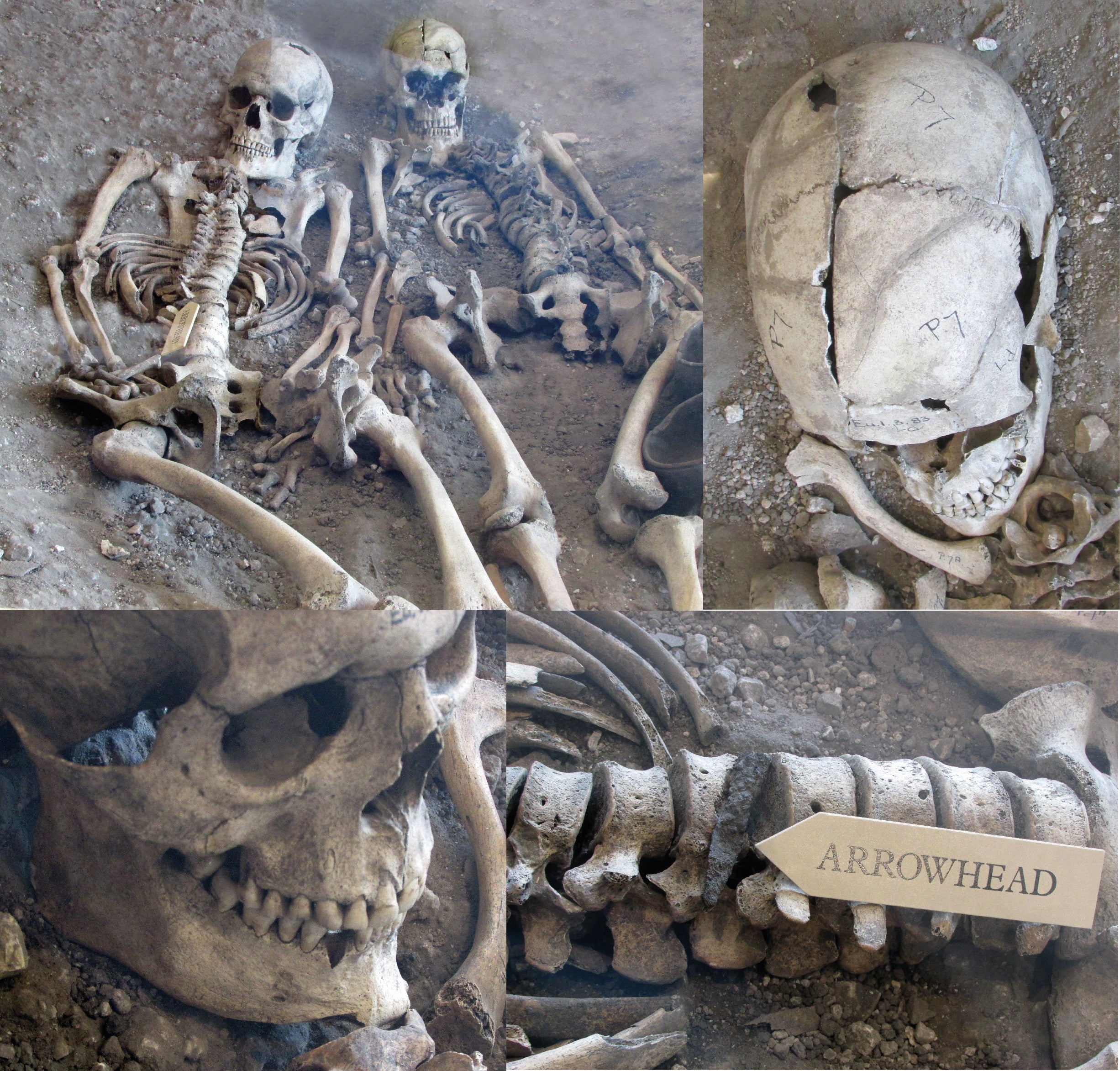At that time researchers convicted Britain's Roman invasion in AD43 for their death
