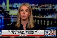 Watch: Karoline Leavitt says America needs more plumbers, less LGBTQ Harvard graduates