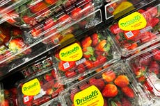 Six foods men can eat to slow aging: study